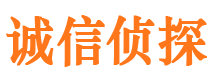 北流侦探公司